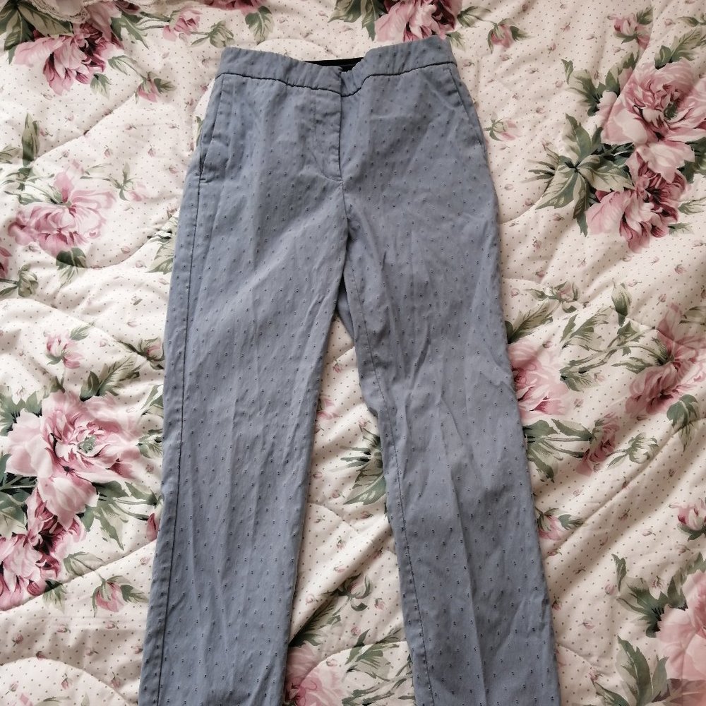 Light Blue Dress Pants